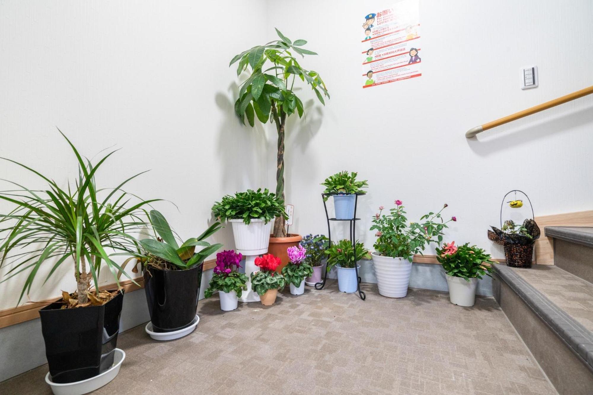קוואגוצ'י Travel Palace Miyuki מראה חיצוני תמונה
